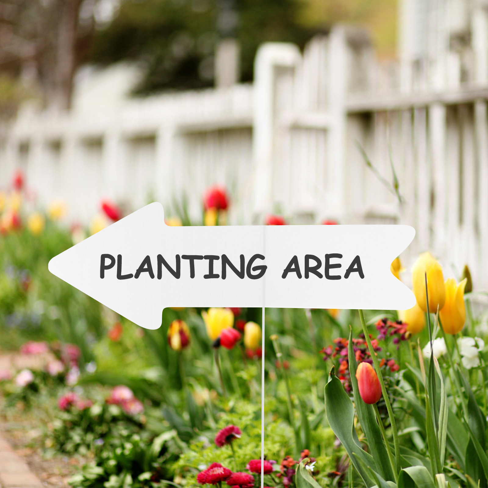 5Pcs Plastic Blank Yard Sign B - Yard Sign Blank 评论和价格